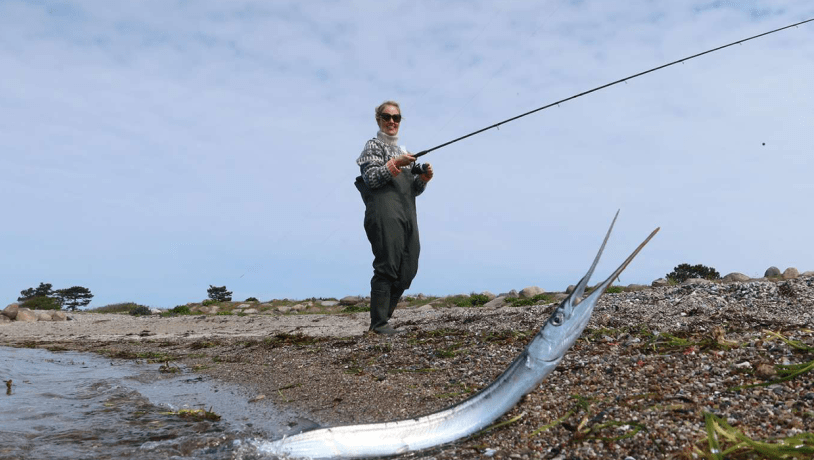 Foto: Fishing Zealand